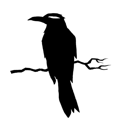 raven-3579555