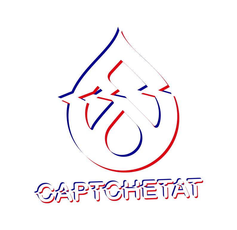 Logo for the CaptchEtat (with CAPTCHA) project
