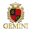 Logo for the Gemini project