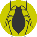 Logo for the Green Worm project