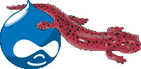 Logo for the Salamander Skins project