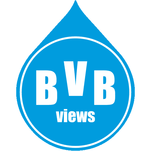 views_bvb