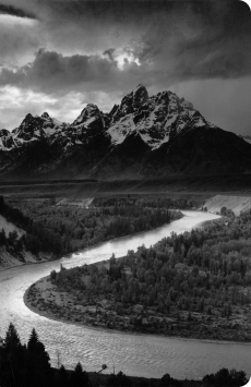 Logo for the wyo theme project