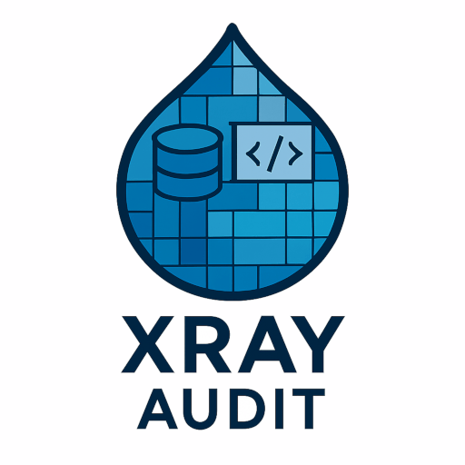 Logo for the Xray Audit project
