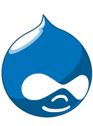 Logo for the Responsive Starter Theme project