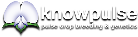 Logo for the KP Theme project