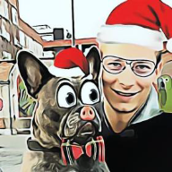 User profile picture