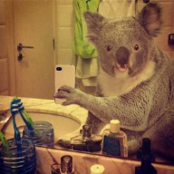 User profile picture