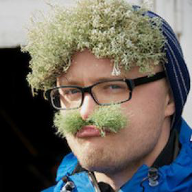 User profile picture