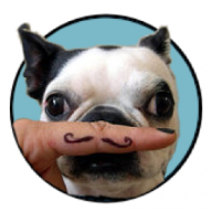 User profile picture